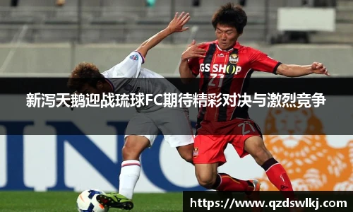 芒果体育官方网站